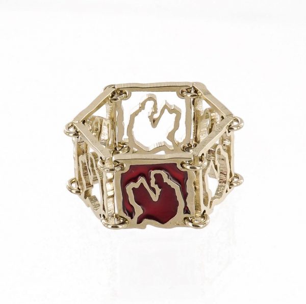 Métroanonymus ring Ayden